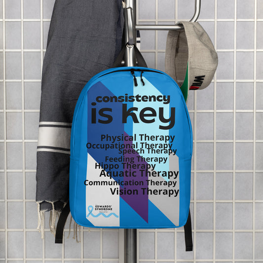 Consistency is Key Minimalist Backpack