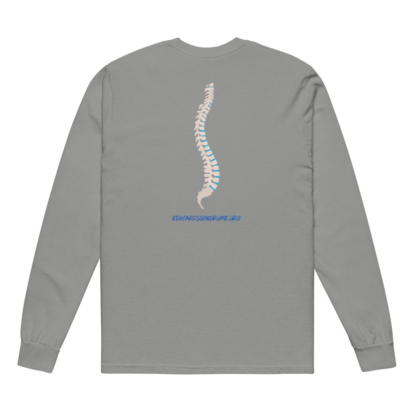 Shirt - Long Sleeve - World Spine Day