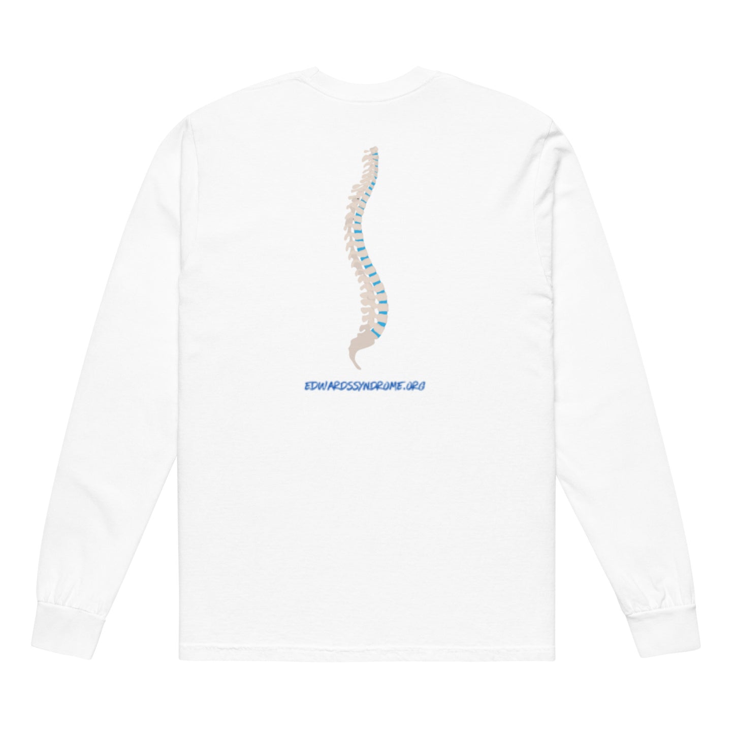 Shirt - Long Sleeve - World Spine Day